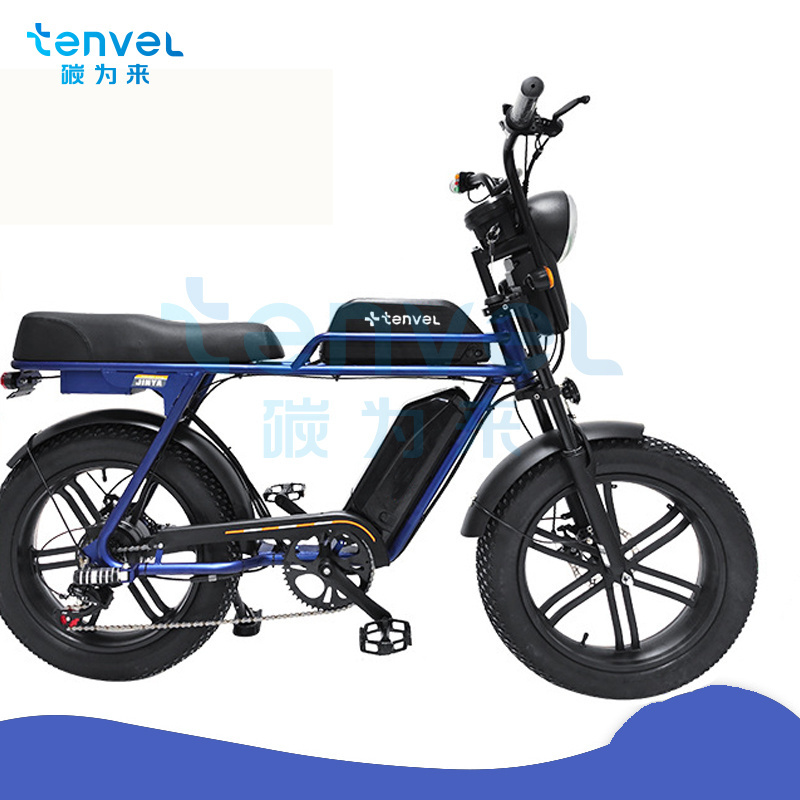 Electric bike fat tyre snow electric bike 20'' High carbon steel frame ebike 48V 500W/750w/1000w e bike with DISC Br