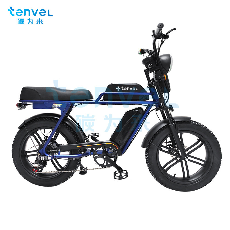 Electric bike fat tyre snow electric bike 20'' High carbon steel frame ebike 48V 500W/750w/1000w e bike with DISC Br