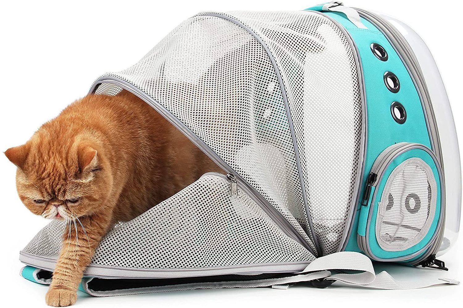 Cat Backpack Carrier Bubble Bag Small Dogs Backpack Space Capsule Transparent Cat Carrier backpack