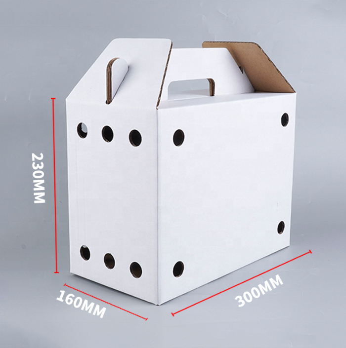 Custom Five-layer Extra-hard Corrugated Cardboard for Pet Cats Dogs Small Animal Live Transport Box Cardboard Pet Carriers