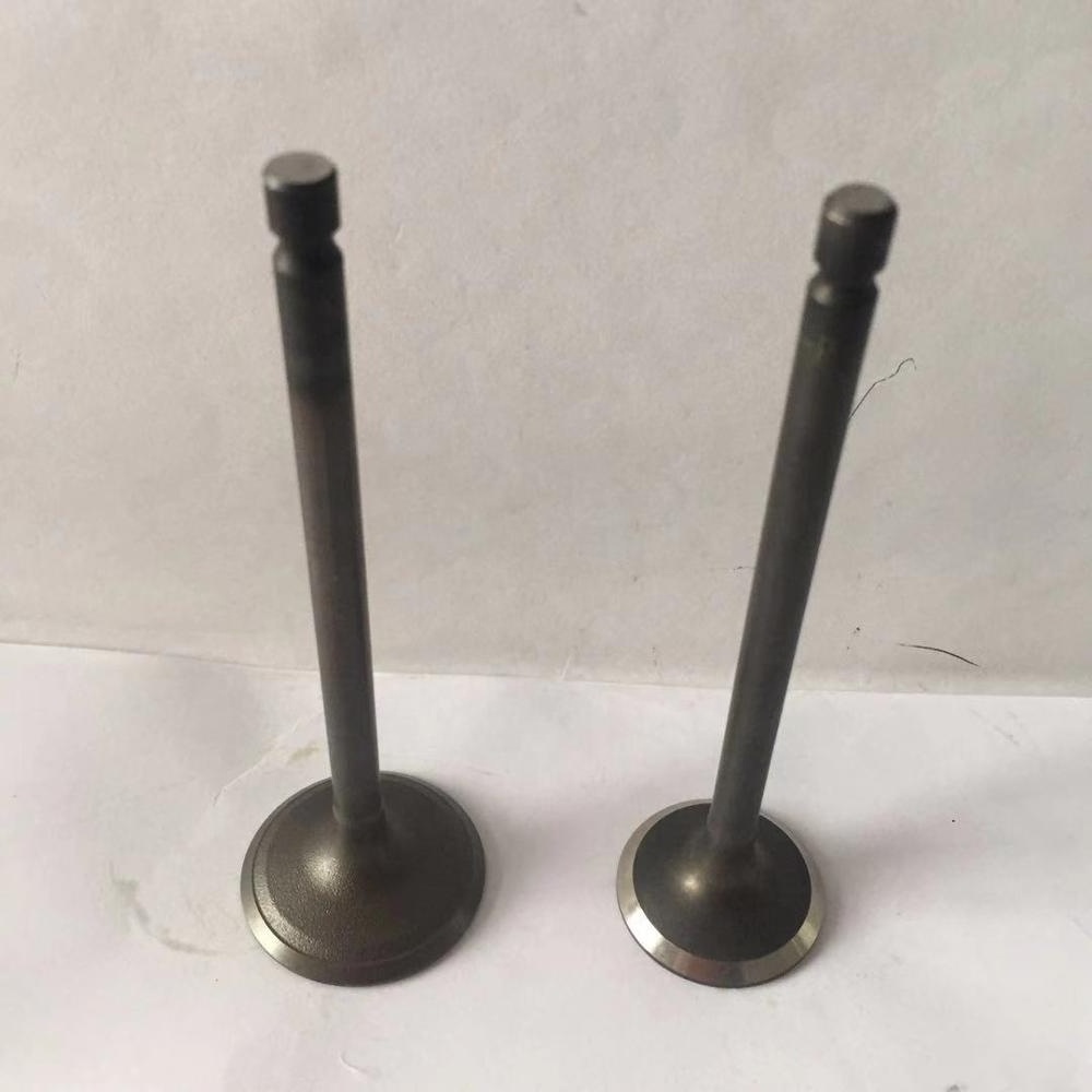 4g69 engine valve used for mitsubishi MPV 2.4 engine