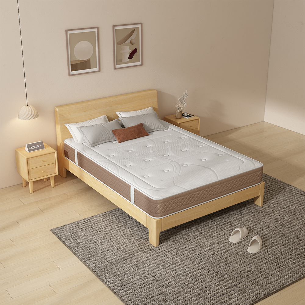 Compressed Apartment Cheap Vacuum Packed 6Inch Rolled Up Pillow Top Single Double Queen King Twin Size memory Foam Bed Mattress BestSuppliers