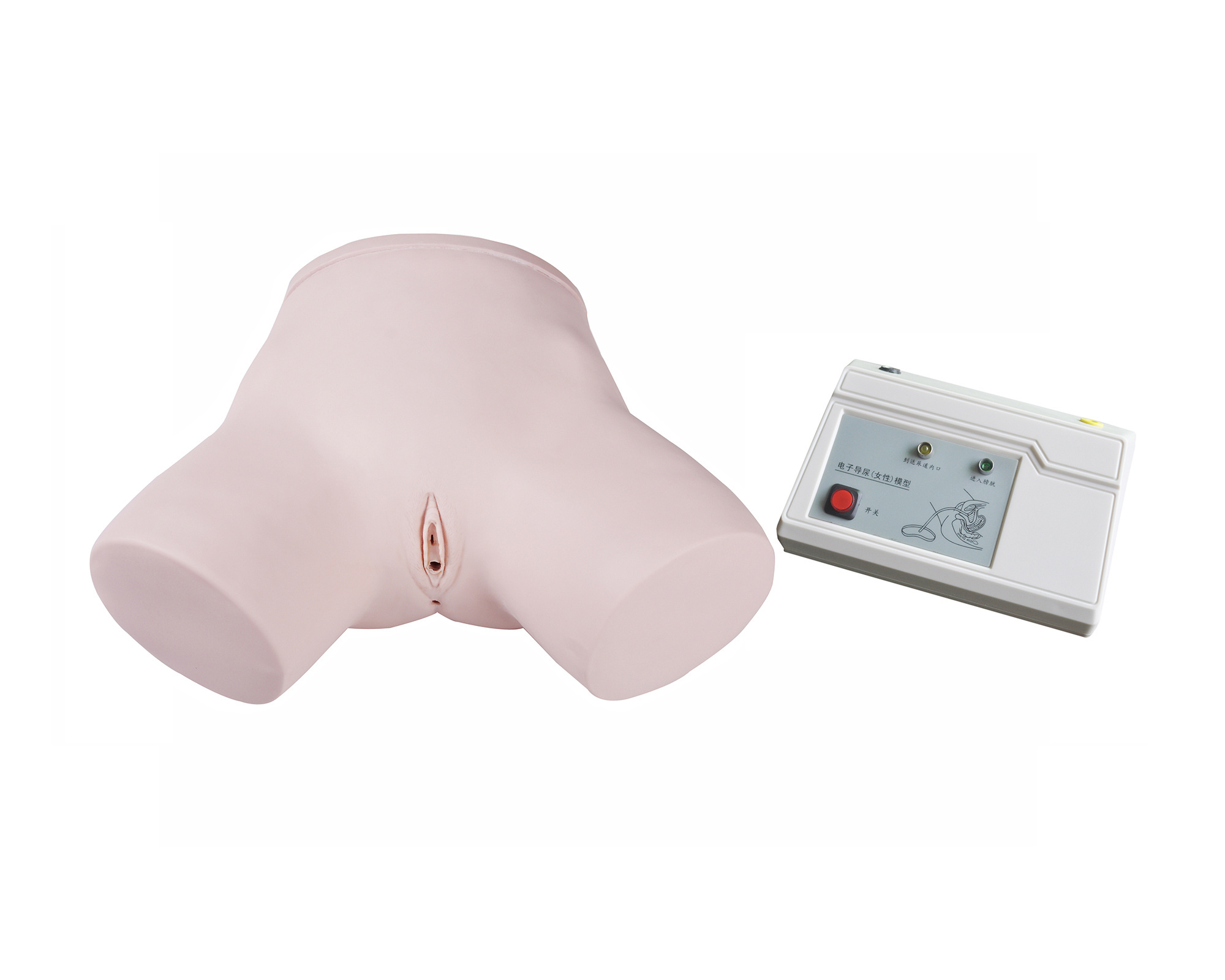 Monitoring Female Catheterization Model