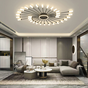 2023 Living Room Fireworks Flower Shape Acrylic Design Pop Light Led Lighting Fixtures Ceiling Light For Home