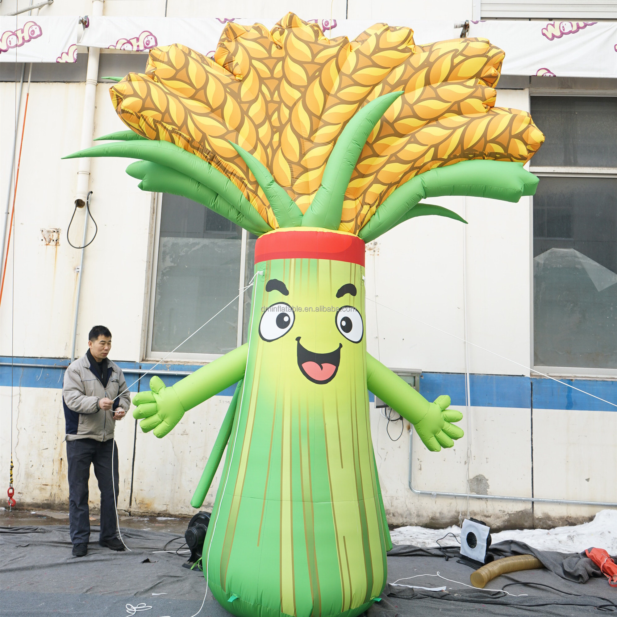 Vegetable parade float Tomato Cherry Inflatable Vegetables Balloon Veggie Parade pros Balloon inflatable Veggies