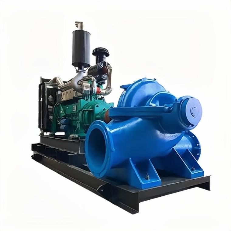 Hydropower Station Split Casing Centrifugal Pumping Machine S Series Double Suction Sand Water Pump