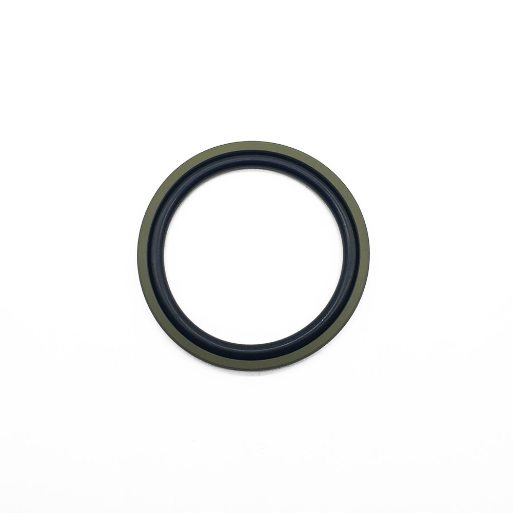 Labyrinth Seal PTFE Filled Hydraulic Piston Seal for Hydraulic Jack Glyd Ring DPT1