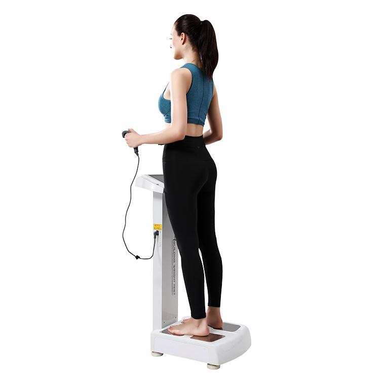 3d measure height weight scale body composition analyzer quantum magnetic resonance fat health body analyzer machine price