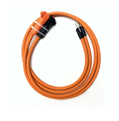 Custom Extension Cord AC DC Power Cable for Customized Lifepo4 Battery 12v 24v 36v 48v Solar Storage System