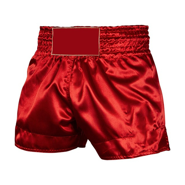 Martial Arts Wear Shorts Mma Boxing Gear Muay Thai Kick Boxing Shorts for Men OEM Customized Best Selling Men's Shorts