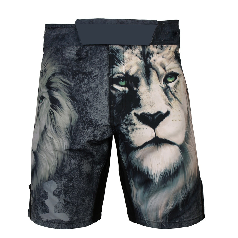 Shorts Martial Arts Wear Mma Boxing Gear Muay Thai Kick Boxing Shorts for Men OEM Customized Best Selling Men's Shorts