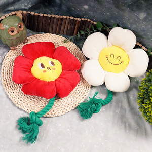 2024 New Hot Sale Custom Smiley Face Flower Interact Pet Intelligence Molar Training Toys Plush Squeak Dog Cat Chew Toy