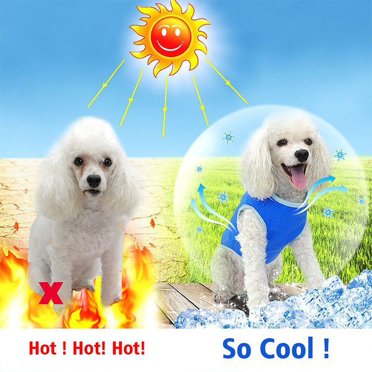 Selling Best New Design Dog Cooling Vest Jacket Comfortable Adjustable Cooling Coat Jacket Clothes For Small Dogs And Cats