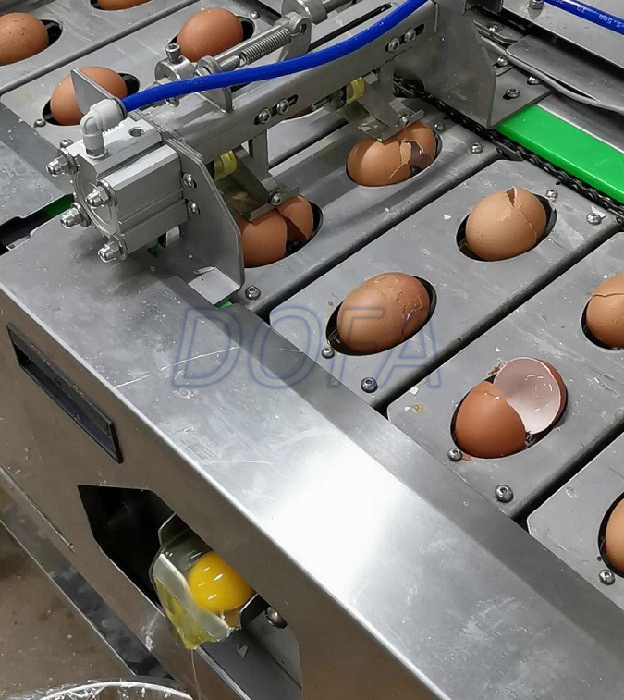 reliable performance White And Yolk Separate Chicken Egg Break Machine egg breaking crusher machine