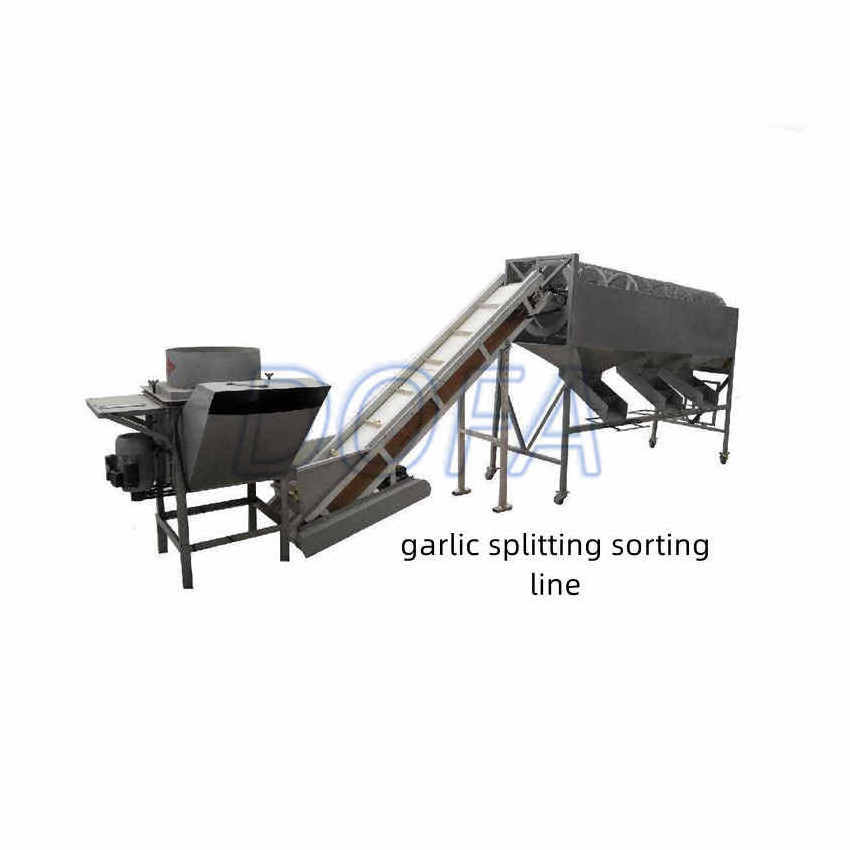 Electric garlic clove separation machine garlic clove separator garlic Peeling machine peeler