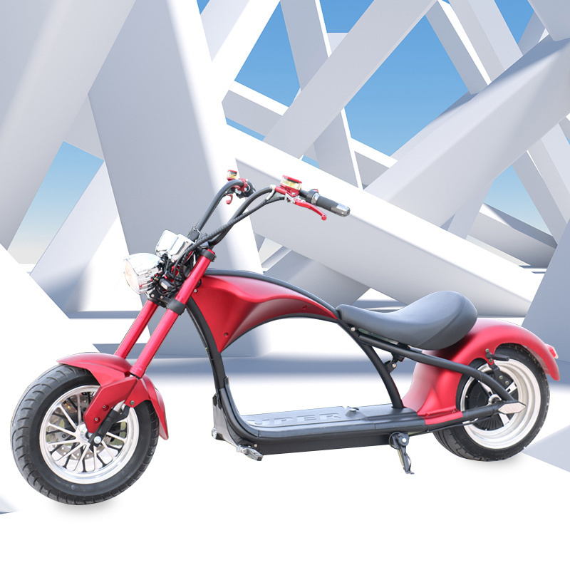 EEC/COC Removable Battery M1 Electric Motorcycle Fat Tire 2000w High Speed Electric Scooter