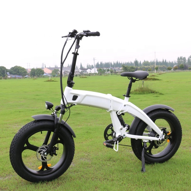 Dogebos 2023 NEW Electric Bicycle Foldable 250W/500W/750W 20 Inch Fat Tires 48v Lithium Battery Dropship Electric Bike Frame