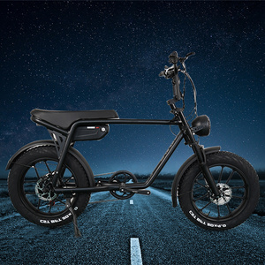 Hot Sale 7 Speed Fat Tire Ebike 7 Speed 250w-2000w Electric Bike