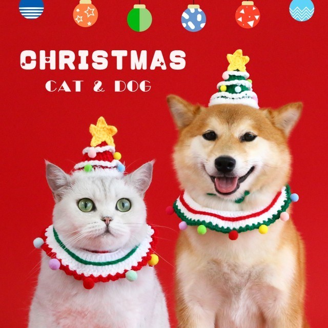 Christmas Cat Hat and Scarf Set Clothes Costumes Xmas Santa Pet Costume Year Santa Red Set Necklace CWW New Dog Puppy Christmas