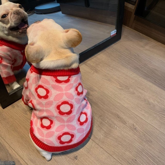 2024 Hot Sale Pink Flower Sweater for Dogs New Fall and Winter Pet Clothes for French Bulldog Corgi Teddy Bears Schnauzer