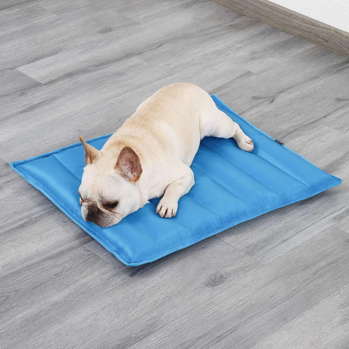 Pet Dog Cooling Mat Summer Water Filling Gel Pet Pad Bed Ice Water Cool Pad for Pets