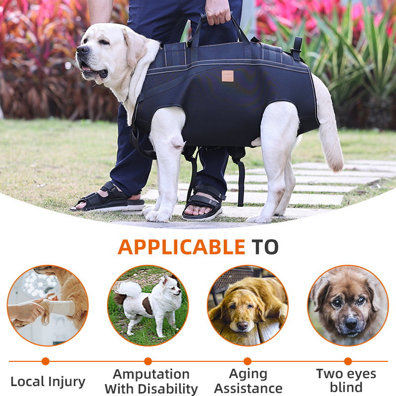 Luxury Portable Backpack Pet Dog Carrier Ventilated Breathable Outdoor Bike Motorcycle Pet Carrier Bag