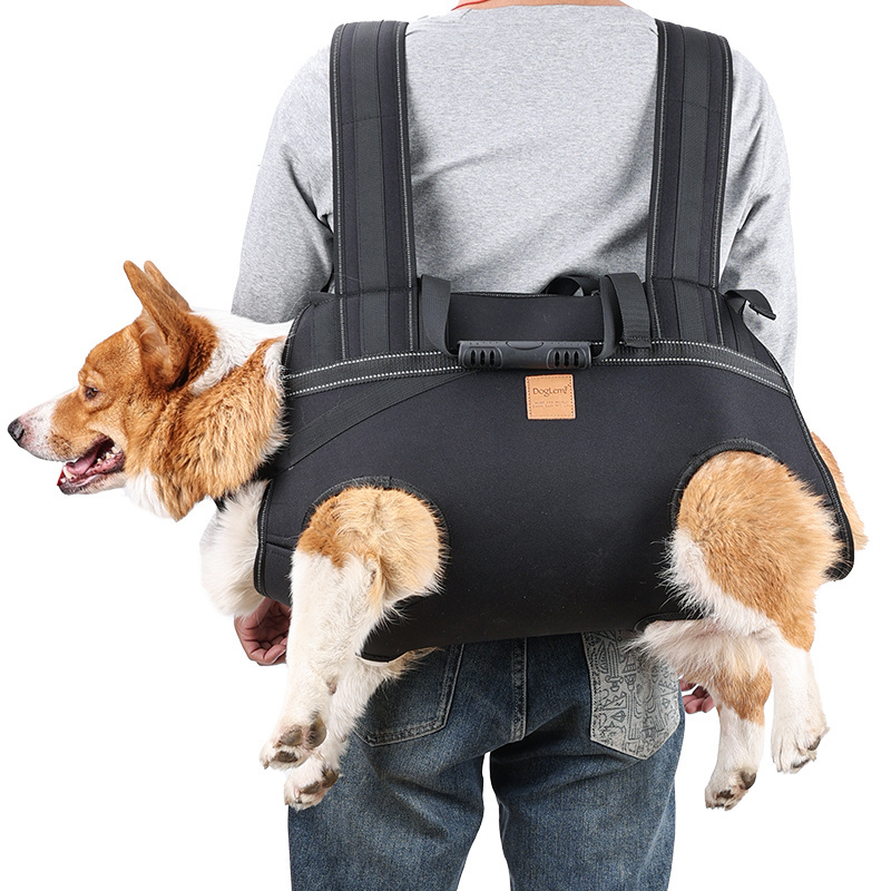 Luxury Portable Backpack Pet Dog Carrier Ventilated Breathable Outdoor Bike Motorcycle Pet Carrier Bag