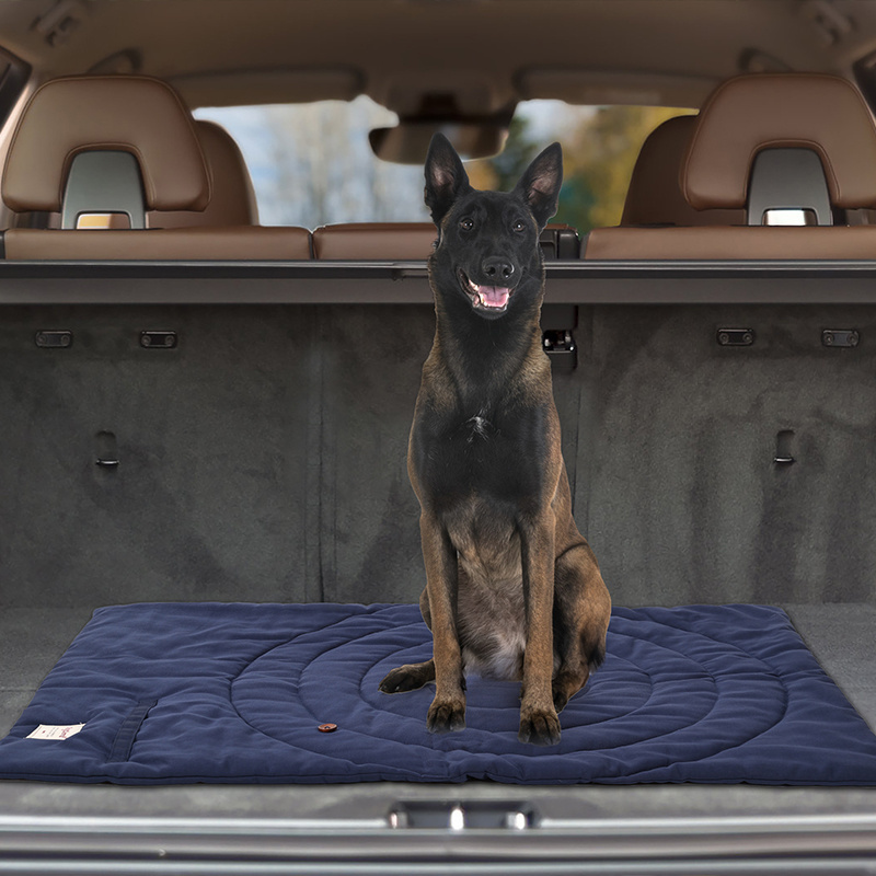 Custom Outdoor Portable Large Pet Dog Travel Mat with Handle Rollup Pet Camping Gear Travel Bed Accessories