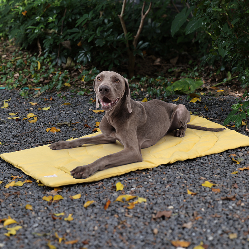 Custom Outdoor Portable Large Pet Dog Travel Mat with Handle Rollup Pet Camping Gear Travel Bed Accessories