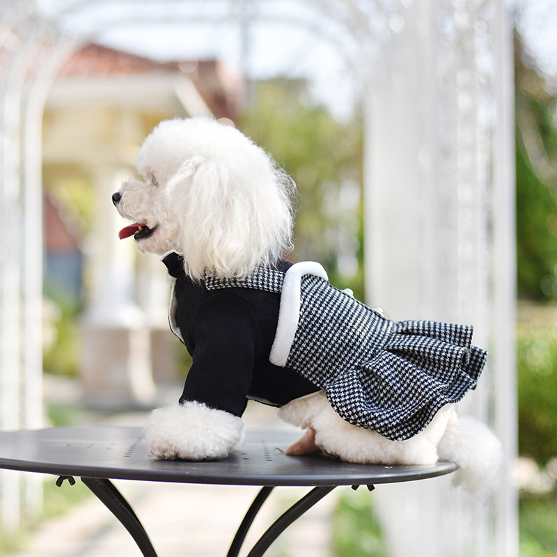 Designer Dog Clothes Luxury Brand Fashion Pet Warm Coat Winter Christmas Small Dog Dress Luxury Pet Clothes