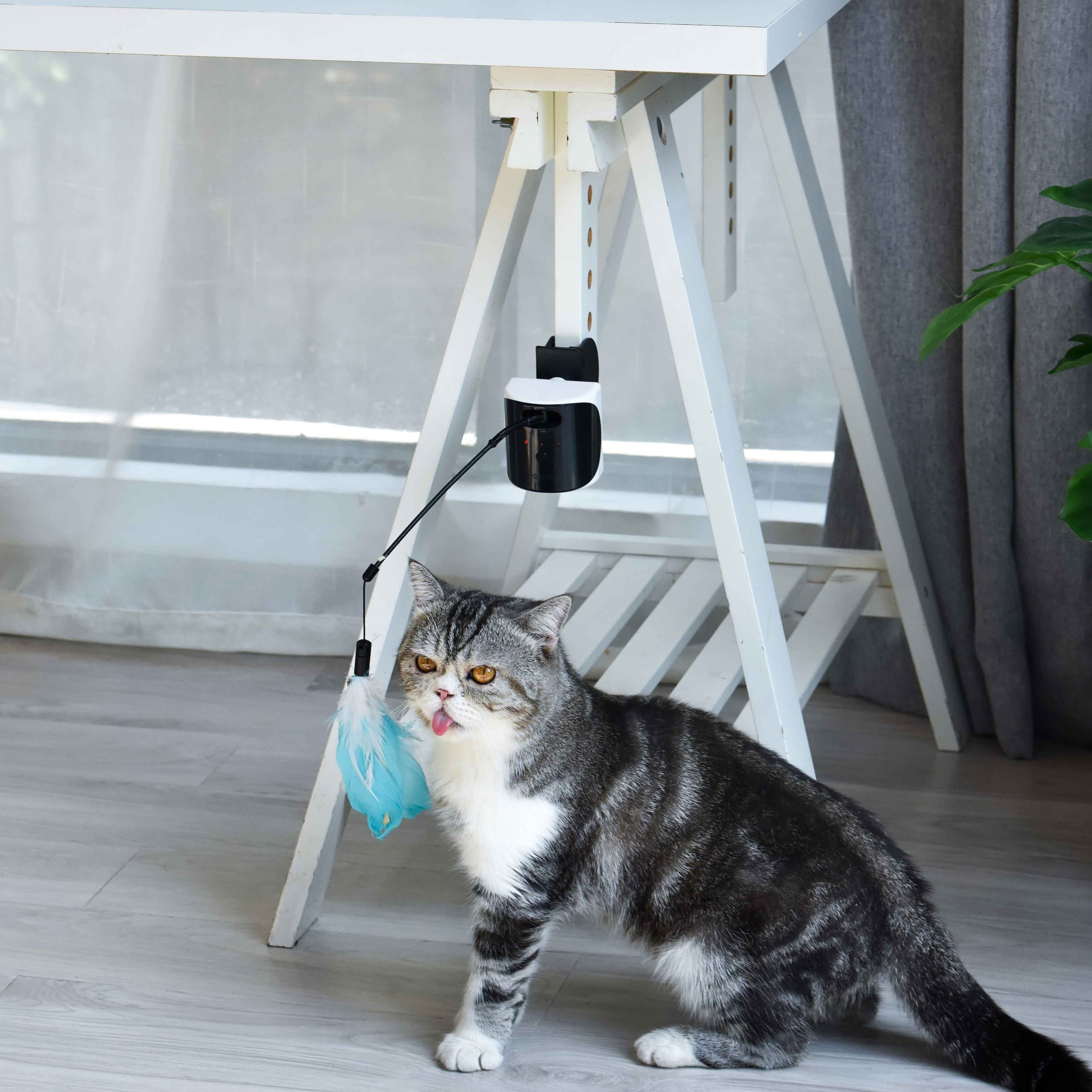 Dogness Multifunction Pet Laser Cat Toy Treater Electric Cat Toys Kitten Toy for Indoor Playing with Laser Playing