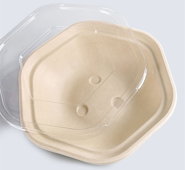 Hexagonal Salad Bowl One Time Take-out Meal Box Dessert Fruit Cut Box Bagasse Salad Bowl Fruit Bowl