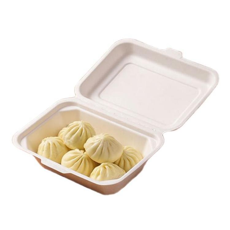 Degradable Sugarcane Bagasse Clamshell Fast Food Lunch Box Eco Friendly Disposable Travel White Disposable Plates with Lid