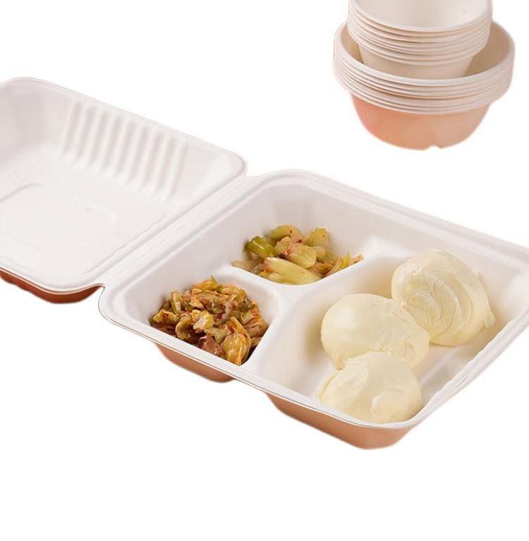 Degradable Sugarcane Bagasse Clamshell Fast Food Lunch Box Eco Friendly Disposable Travel White Disposable Plates with Lid