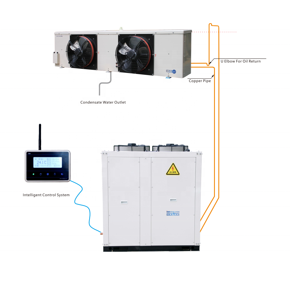 DOLUYO 300 Tons Frozen Meat Freezer Cold Room Storage, Walk in Cold Room Freezer, 15HP Cold Room Blast Freezer And Evaporator