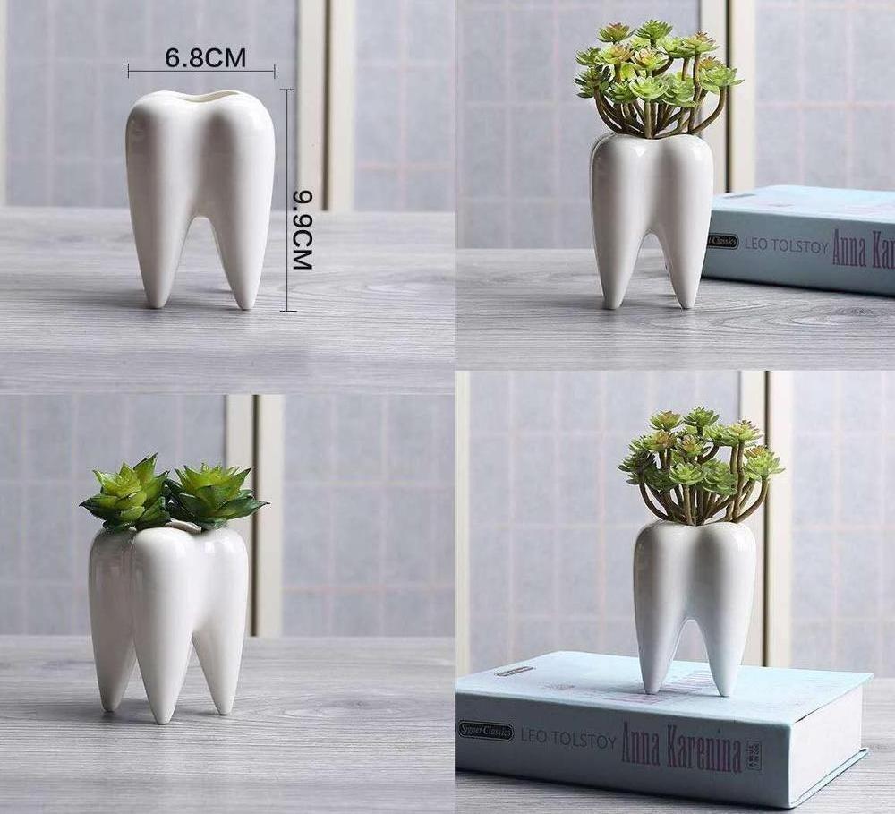 Creative Tooth Shaped Pen Pencil Holder Toothbrush Holder Ceramic White  Bonsai Pot Succulent Plant Pot Dentist Gift