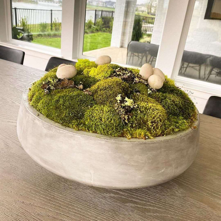 Modern tablescape succulent moss round flower pot cement concrete planter moss bowl