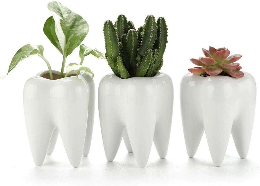 Creative Tooth Shaped Pen Pencil Holder Toothbrush Holder Ceramic White  Bonsai Pot Succulent Plant Pot Dentist Gift