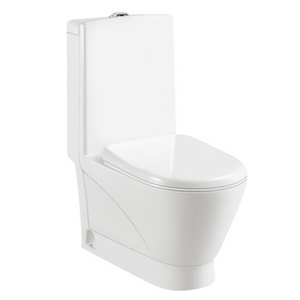 2021 Dual-Flush Elongated One-Piece Toilet (Seat Included)