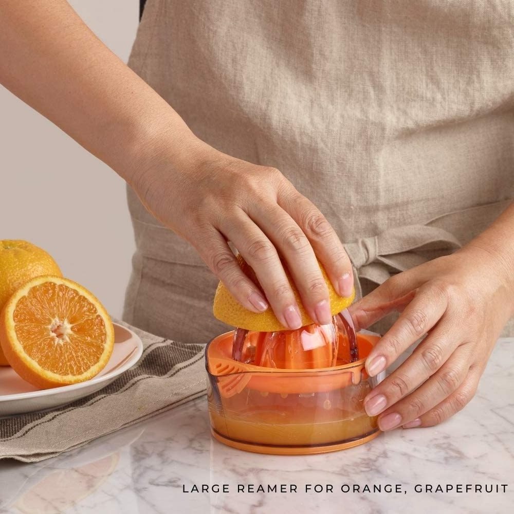 Fruit Bird Stainless Steel Slice Lemon Lime Orange Citrus Plastic Hand Manual Squeezer Press Juicer Extractor With Container