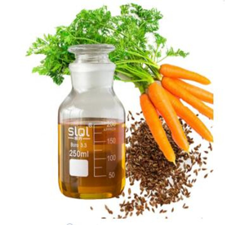 Skin Lightening Products Carrot Seed Oil For Whitening Body Massage Oil Bulk Price