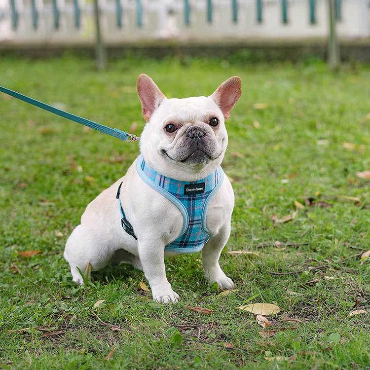 New Pet Products Small Dog Harness Leash Set Vest Dog Leashes Pet Accessories