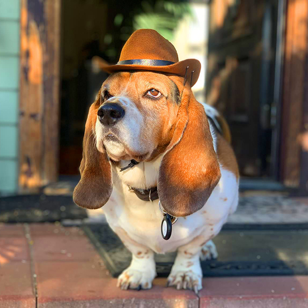 Headgear Western Cowboy Hat Dog Small Helmet Grass Woven Cowboy Pet Hat