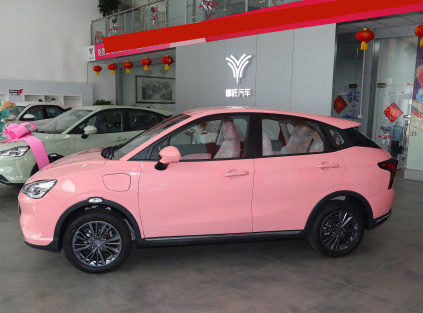 Cheap price  NETA V micro mini pink electric car for adult with long battery life