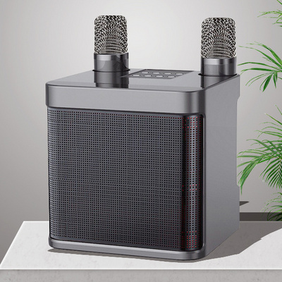 Mini Karaoke Speaker with Mic Bluetooth Speaker with Microphone Dual Mic Karaoke set home speaker