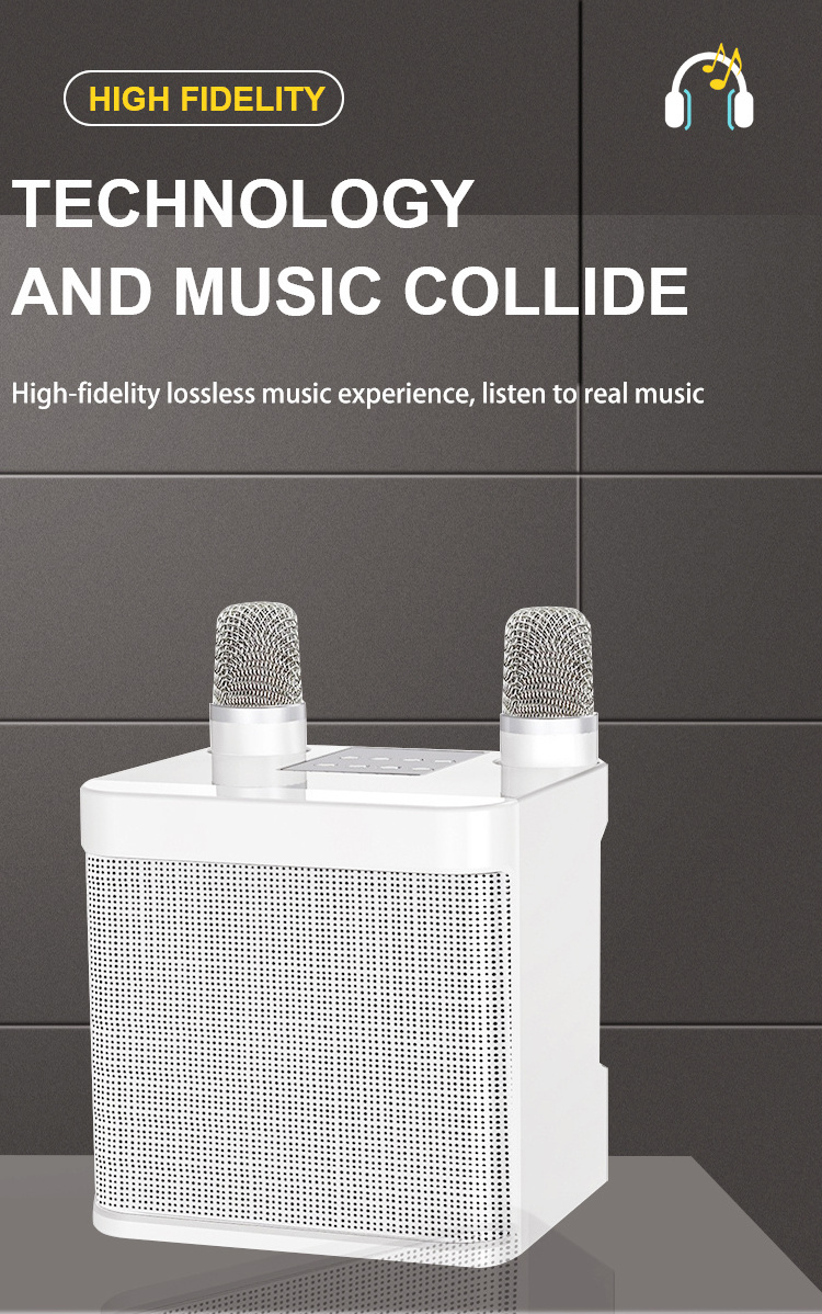 Mini Karaoke Speaker with Mic Bluetooth Speaker with Microphone Dual Mic Karaoke set home speaker