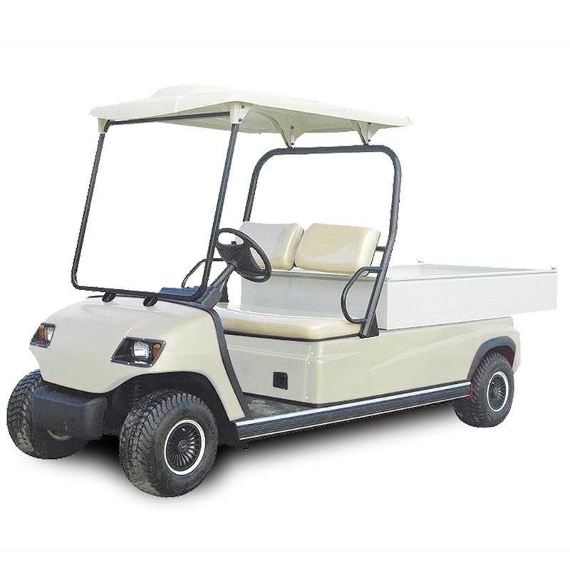 Yellow 2 Seaters Electric Golf Cargo Truck Car Electric Picnic Car