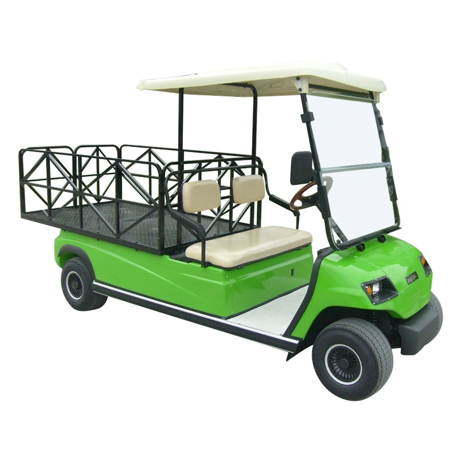 Yellow 2 Seaters Electric Golf Cargo Truck Car Electric Picnic Car