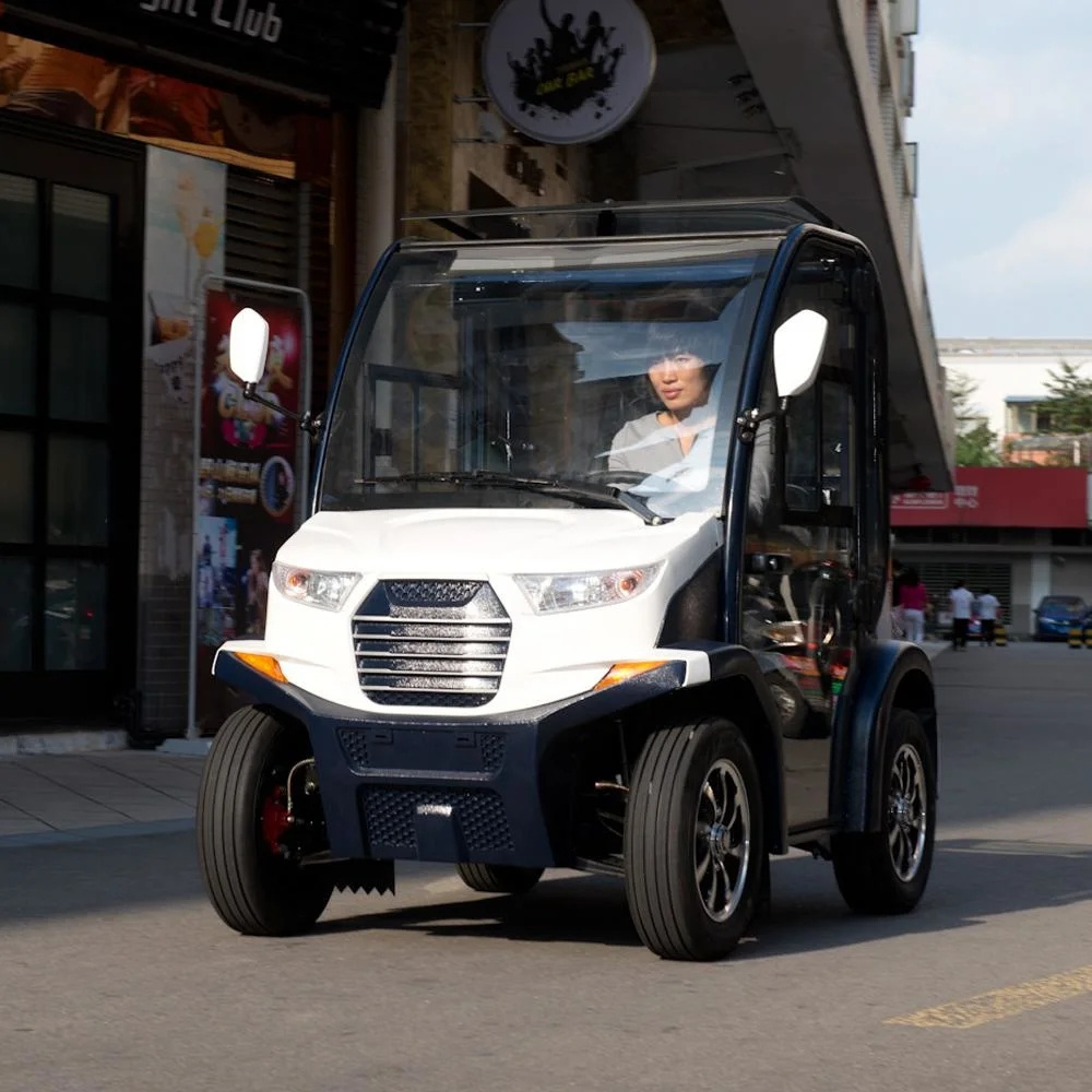 Chinese Manufacture 2 Doors 2 Seaters Electric Mobility Scooter (LT-S2. dB)