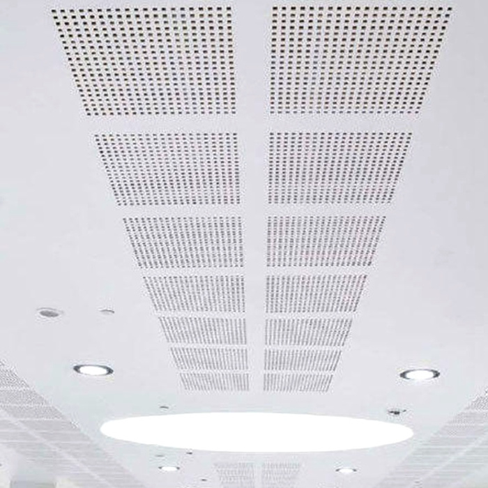 Decorative Powder Coating Access Panel Metal Perforated Ceiling Mesh